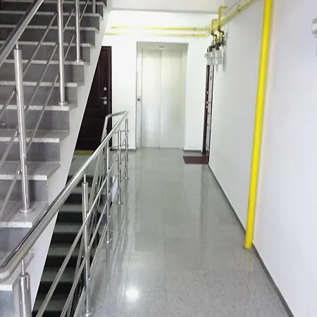 Smart Tei * Piatra Neamt